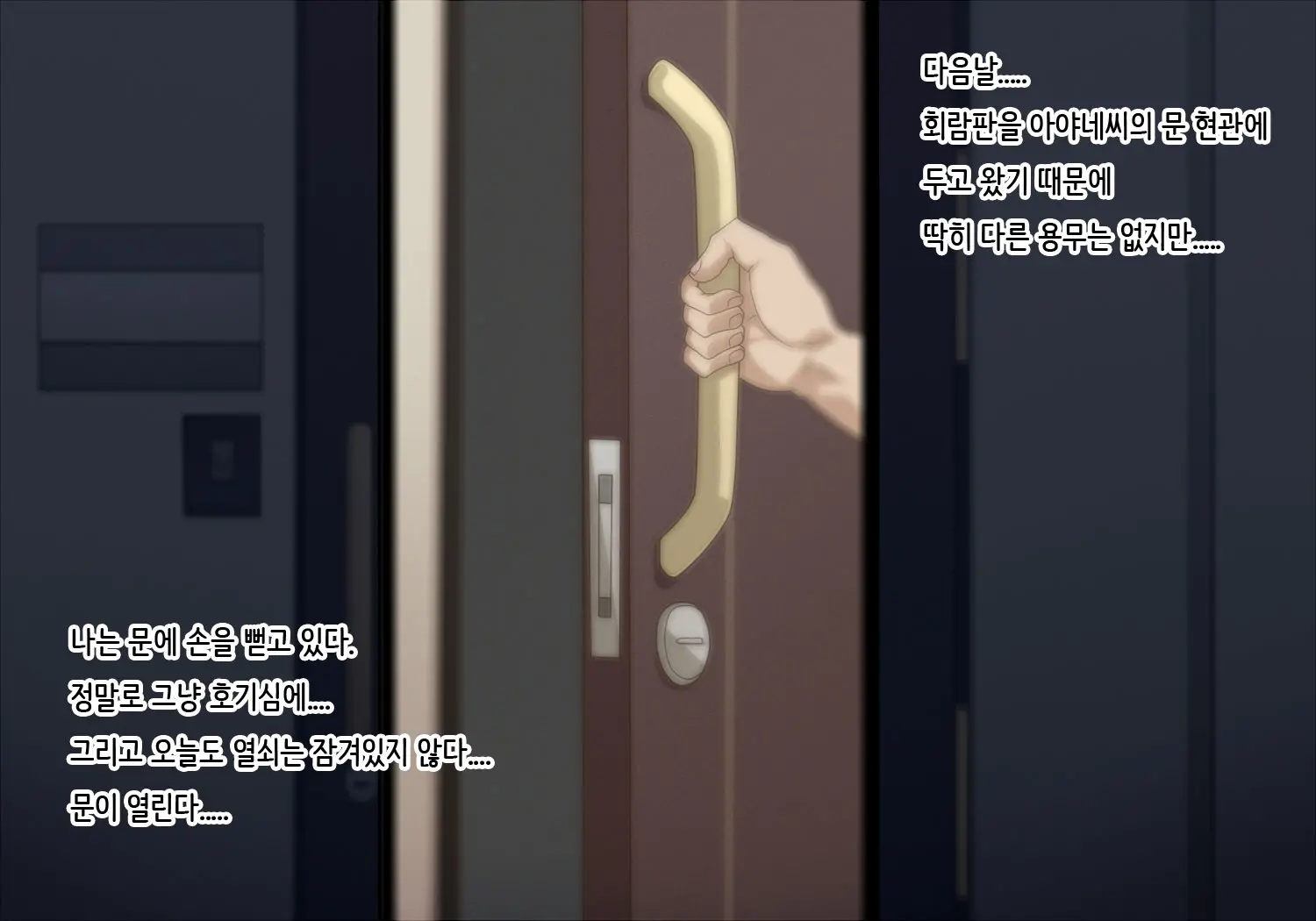 Rinjinzuma Wa Kagi O Kakenai